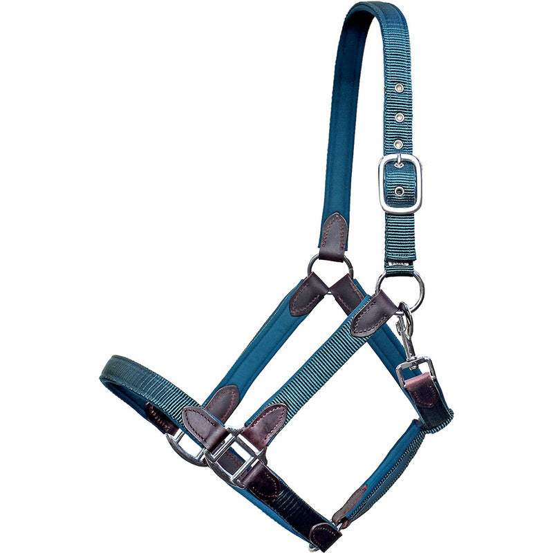 Halfter Cholet, Nylon-Neopren-Leder