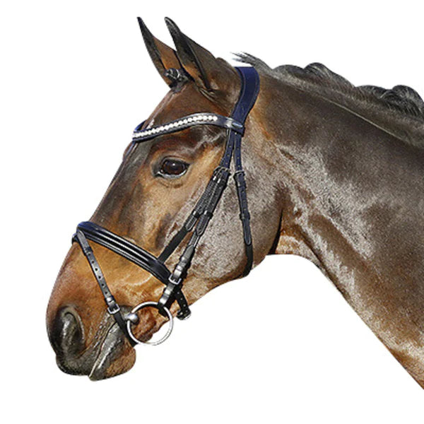 Trense La Rochelle engl. ohne Zügel