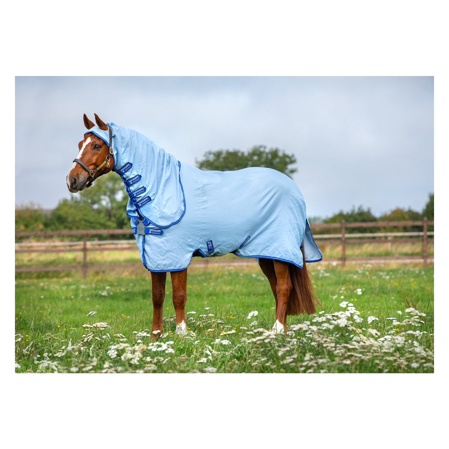 Fliegendecke Ripstop Hoody 600D hellblau