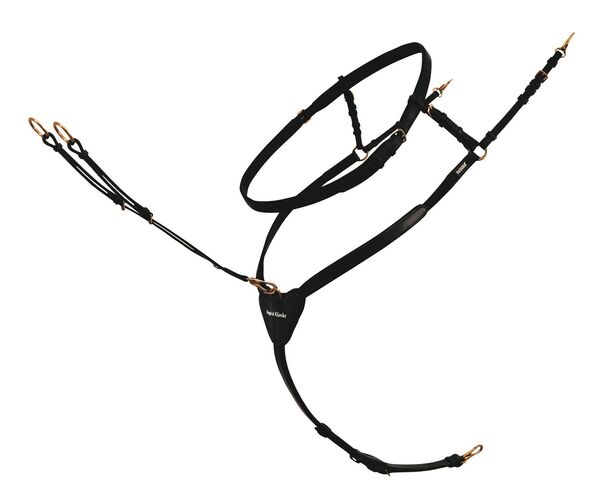 Vorderzeug Ingrid Klimke schwarz Messing