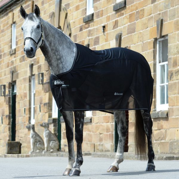 Abschwitzdecke Competition Cooler