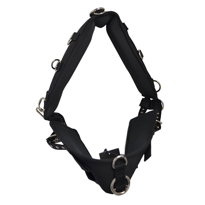Longiergurt mit Gurt und Ringen schwarz