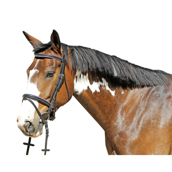 Trense Baltimore schwedisches Reithalfter Natural Line schwarz WB