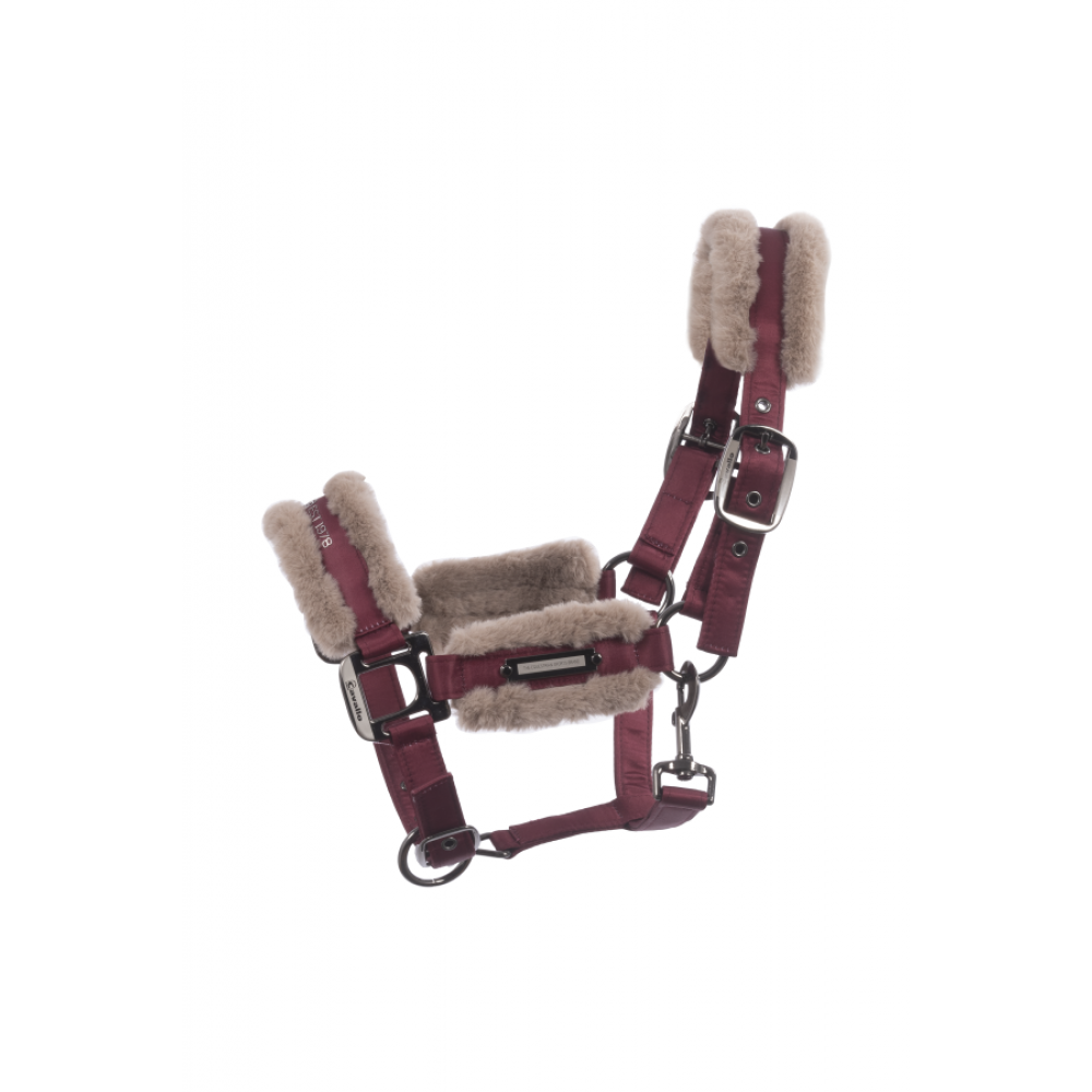 Halfter Cavaljany mit Satin H/W 23