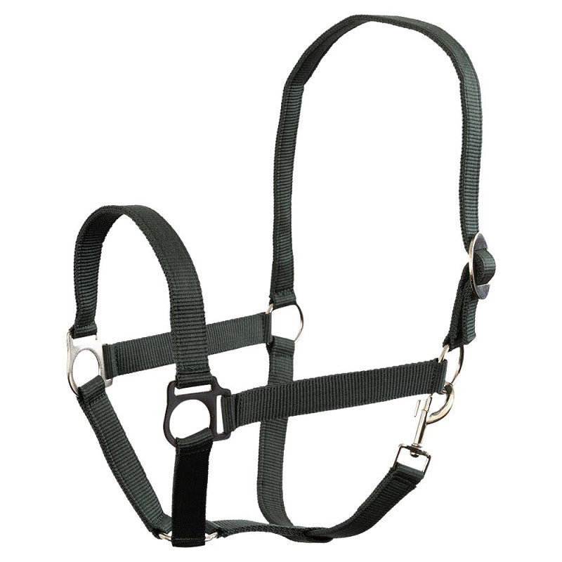 Halfter Economic Soft