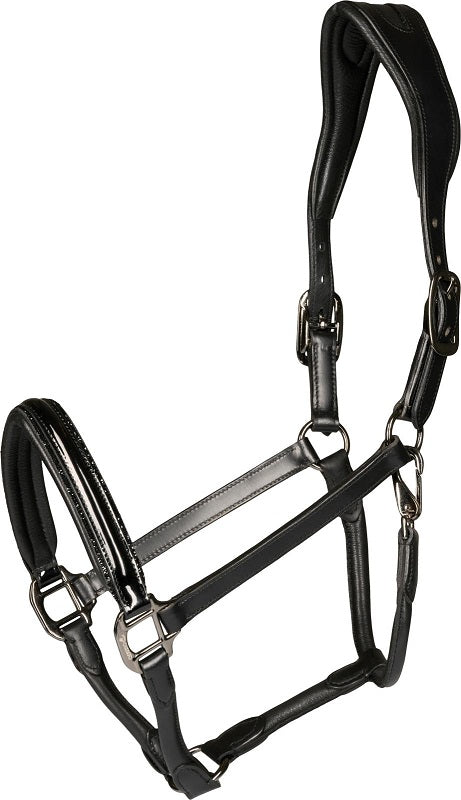Lederhalfter Novi H/W 24