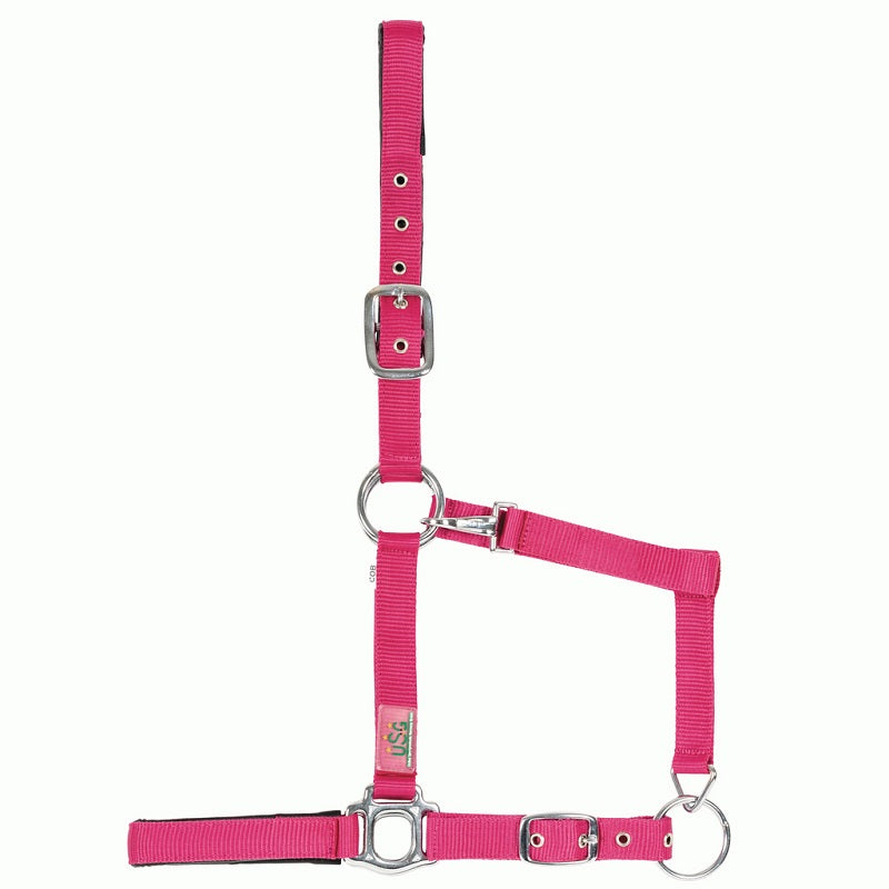 Halfter, silberfarbene Beschläge, soft unterlegt