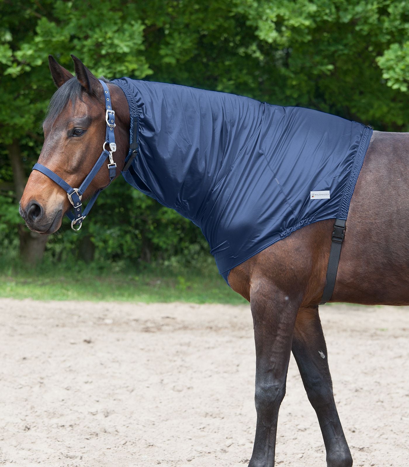 Halsteil für Ekzemer