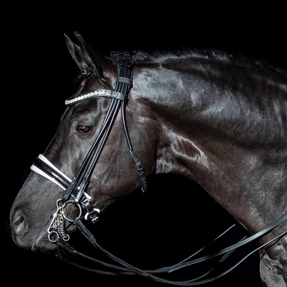 Kandare Mystery rundgenäht