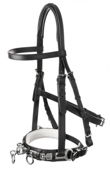 Kappzaum aus Leder schwarz weiß unterlegt