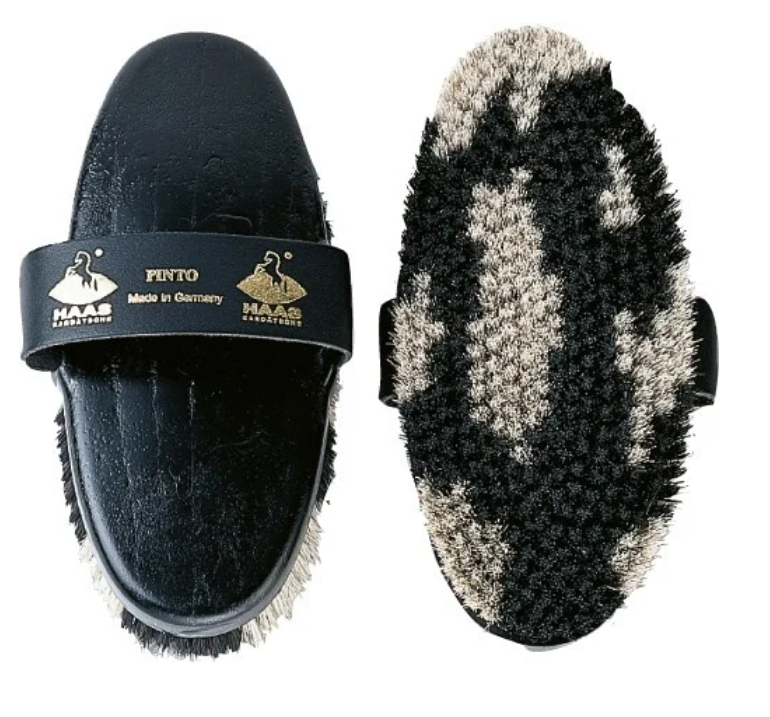 Kardätsche Pinto Haas