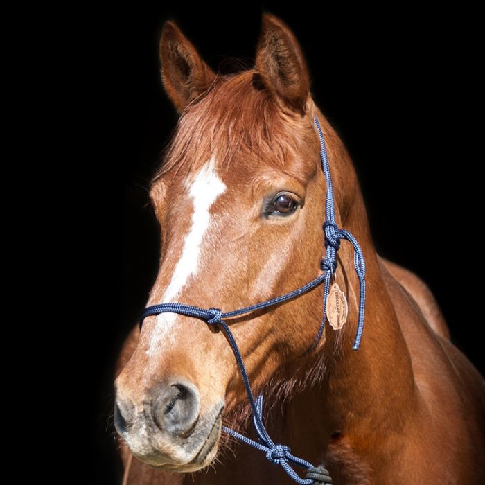 Knotenhalfter Horse-Man-Halfter