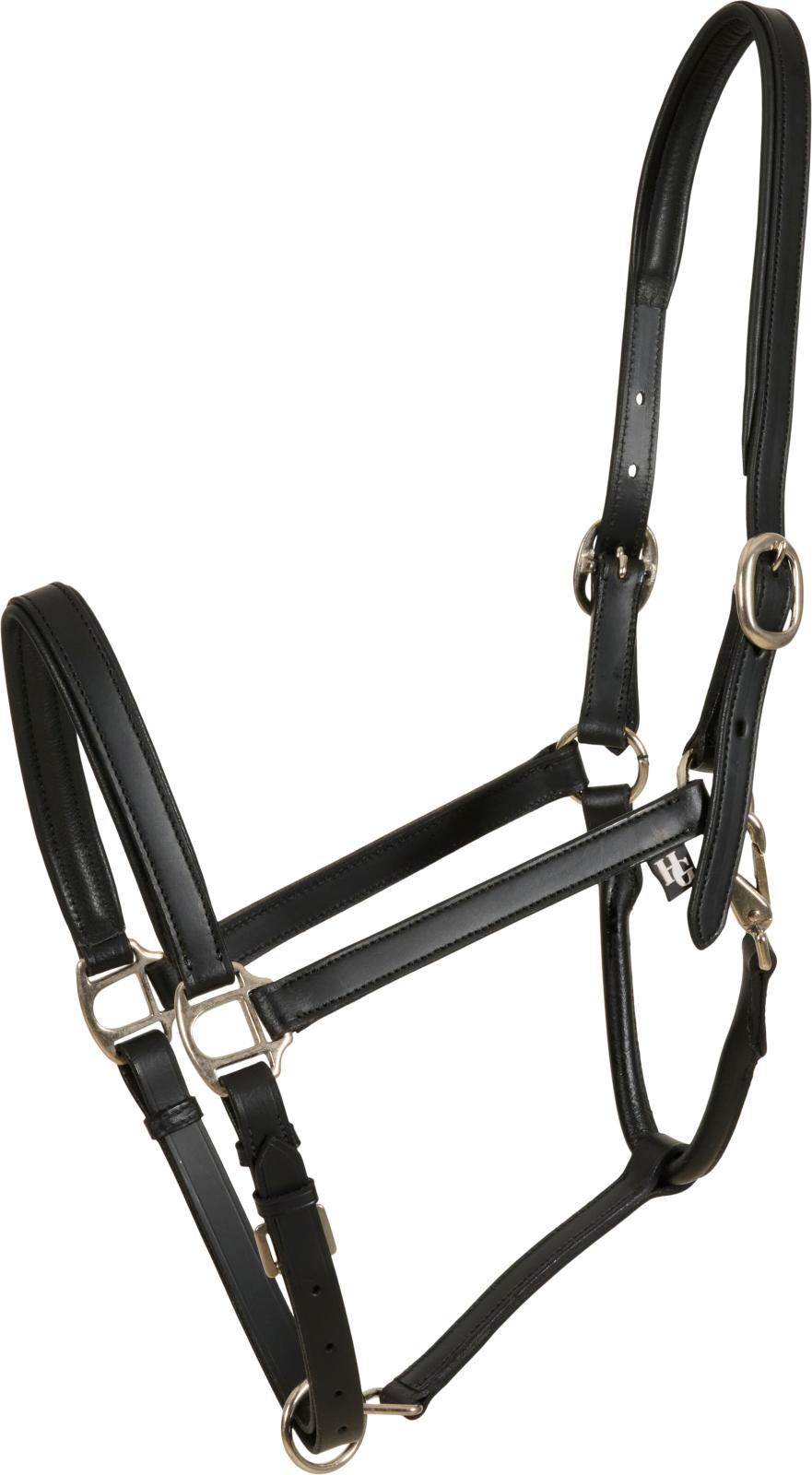 Lederhalfter Sabine H/W 24