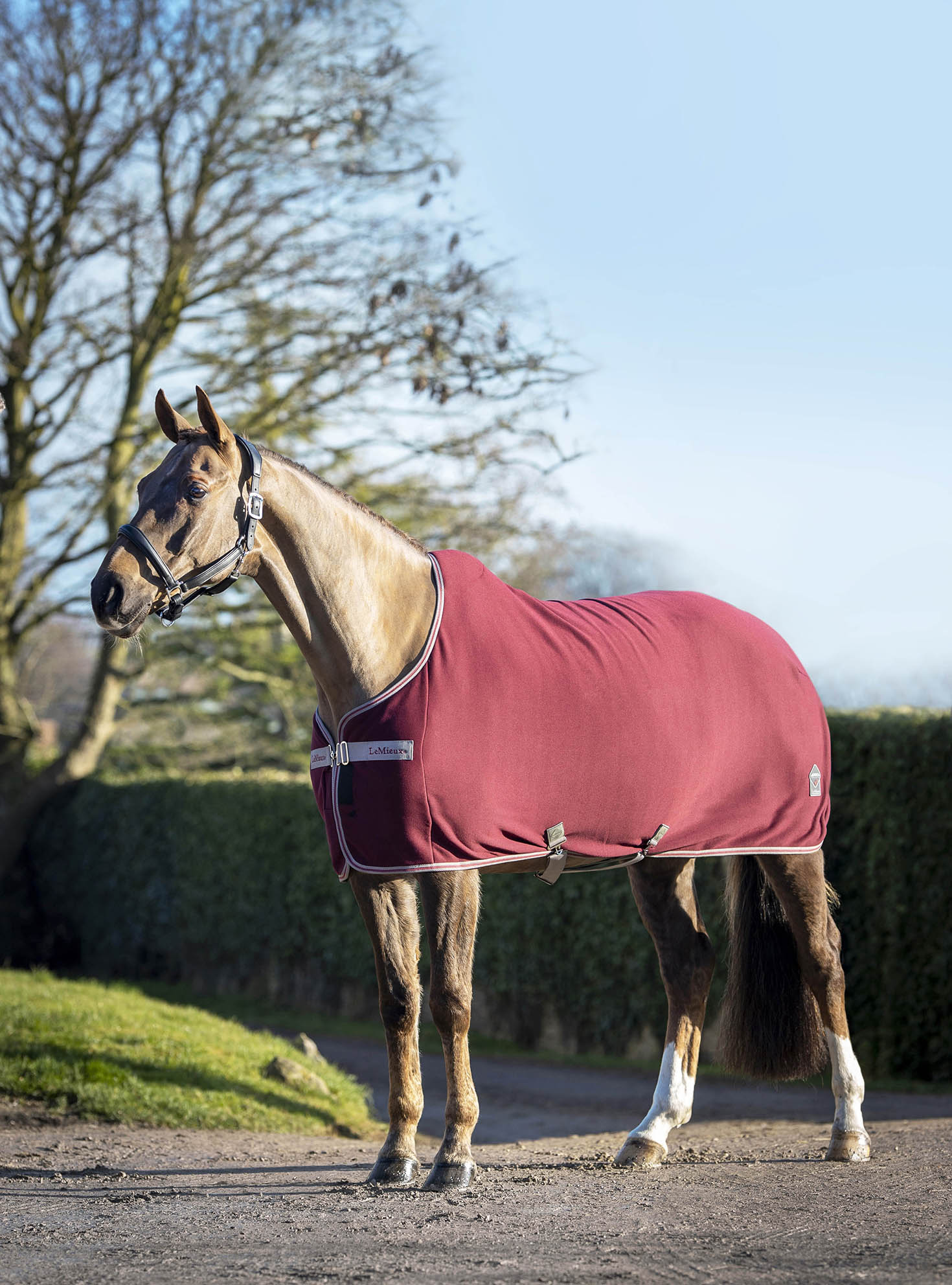 Abschitzdecke Arika Jersey-Tek