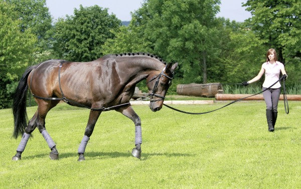 Longier und Trainingssystem