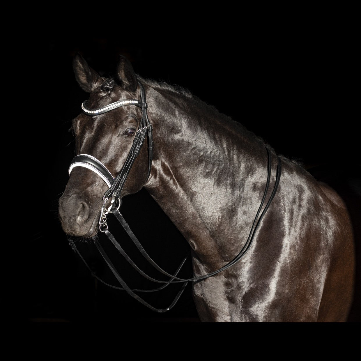 Kandare Celebrity Crystal