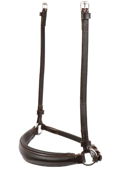 Nasenriemen Hannoversch