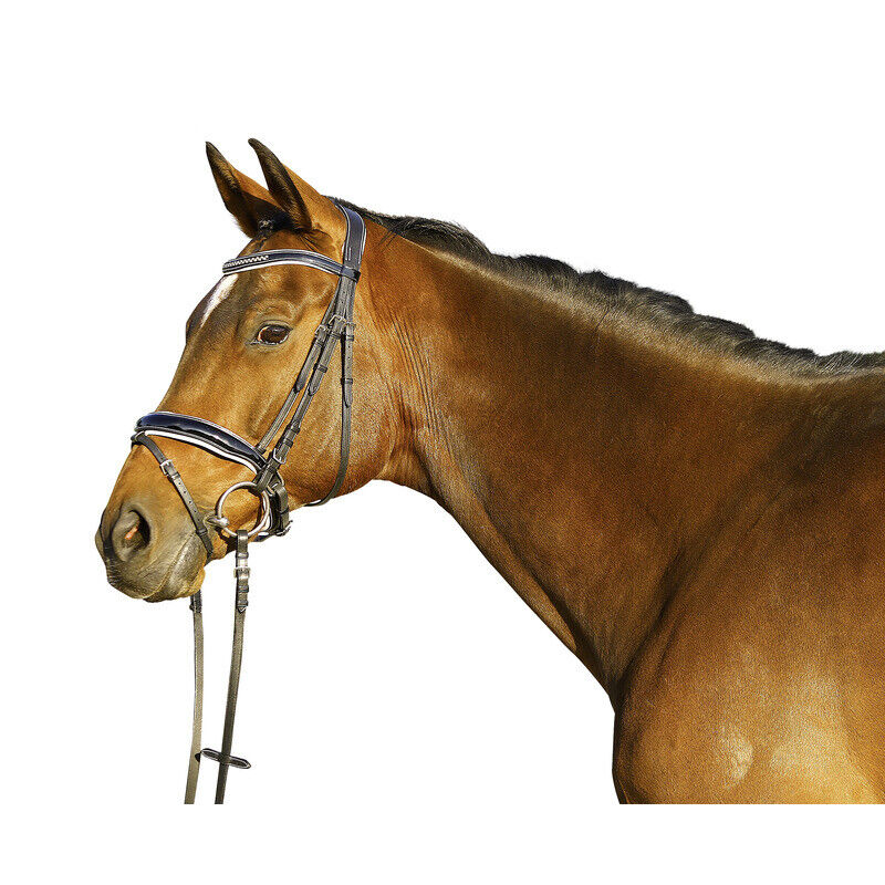 Trense Madison schwed. Glitzer Lack