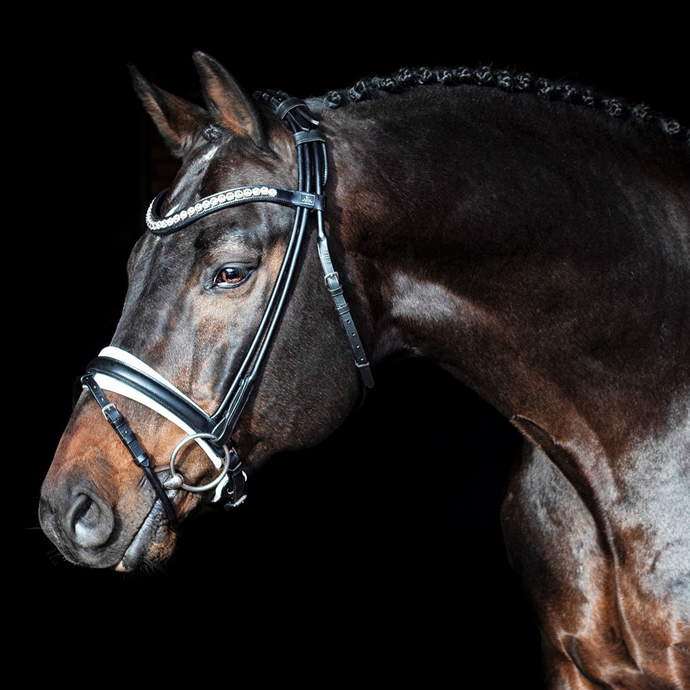 Trense Duke de Niro rundgenäht schwarz/weiß Pony