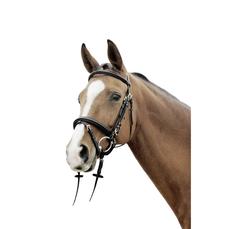 Trense Sarasota schwed. mit Zügel