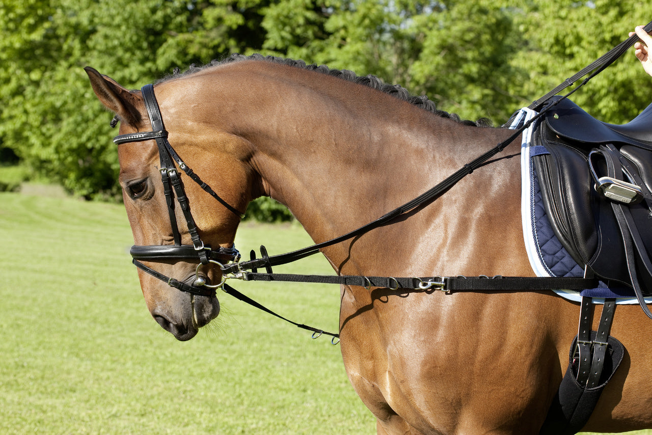 Ausbinder Nylon mit silberfarbenen Beschlägen
