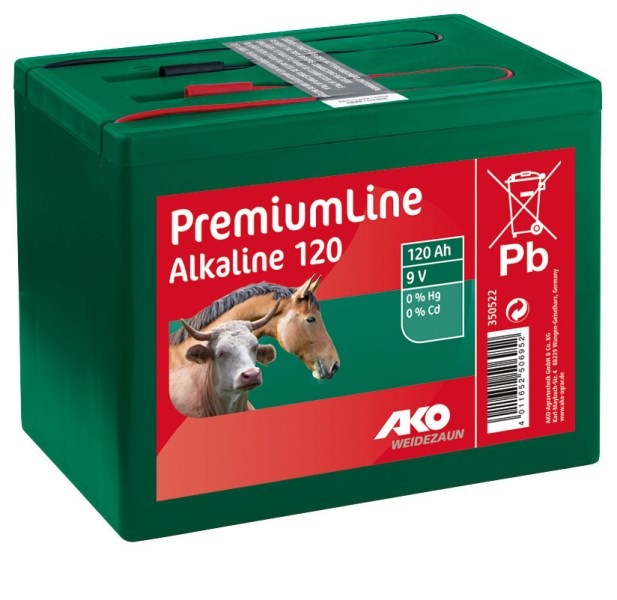 Batterie Alkaline 9 V
