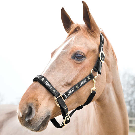 Halfter Hamptons mit goldenen Beschlägen