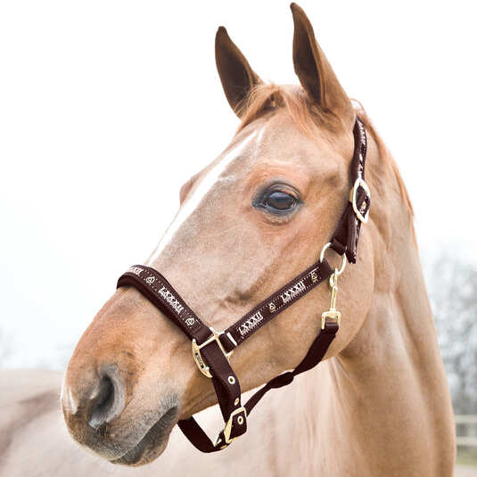 Halfter Hamptons mit goldenen Beschlägen