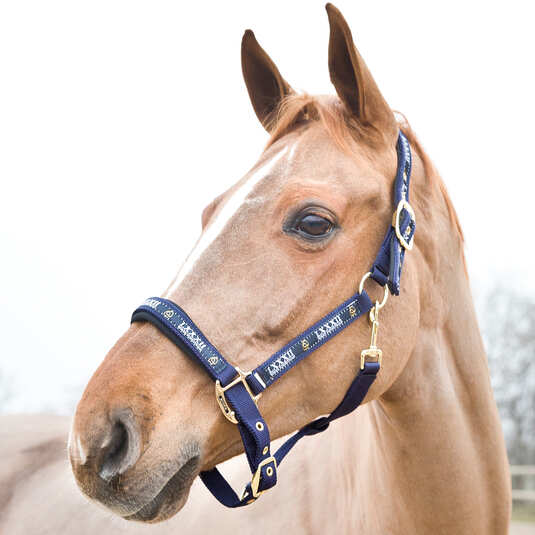 Halfter Hamptons mit goldenen Beschlägen