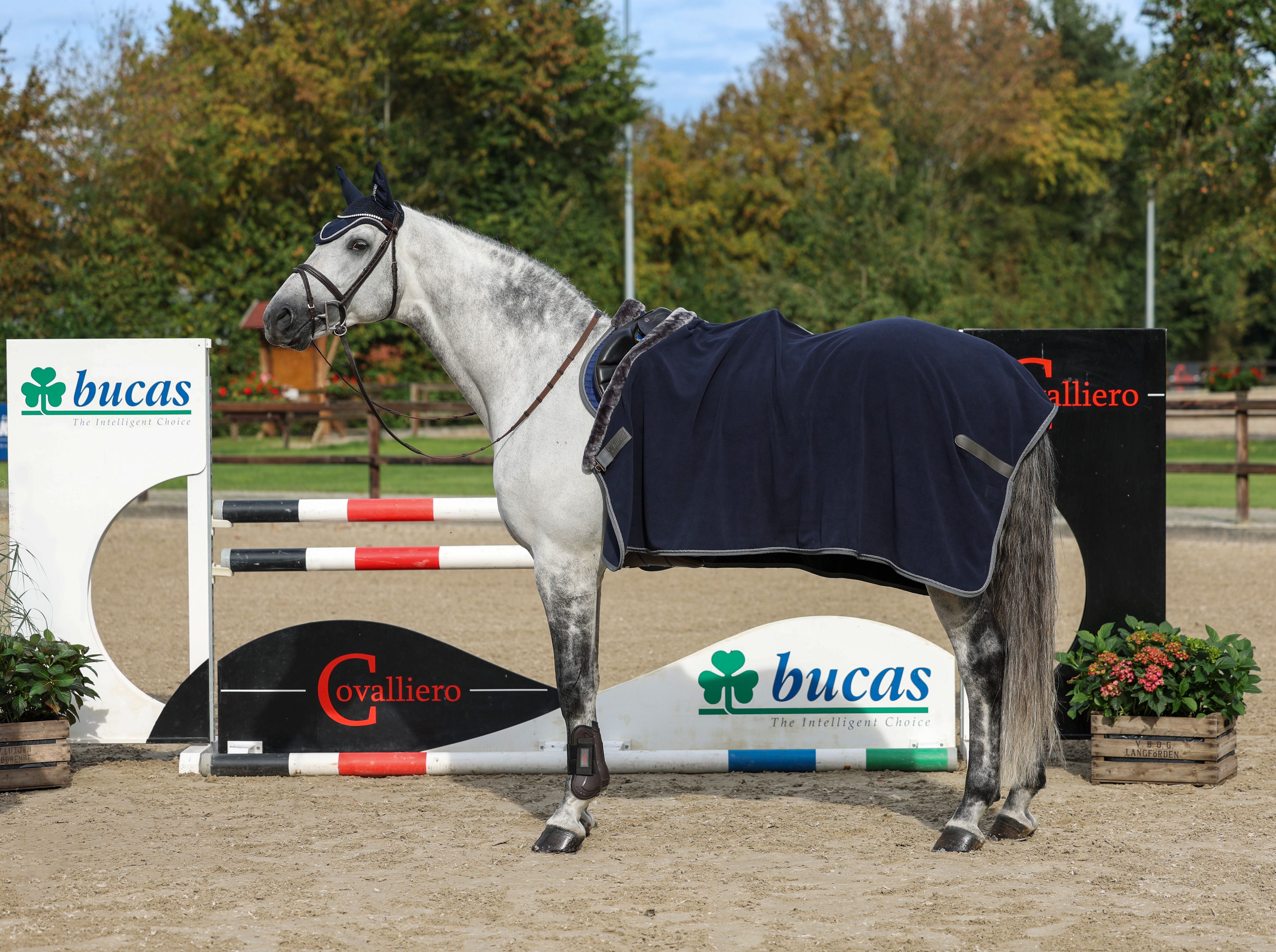 Abschwitzdecke Show-Line mit Fleece