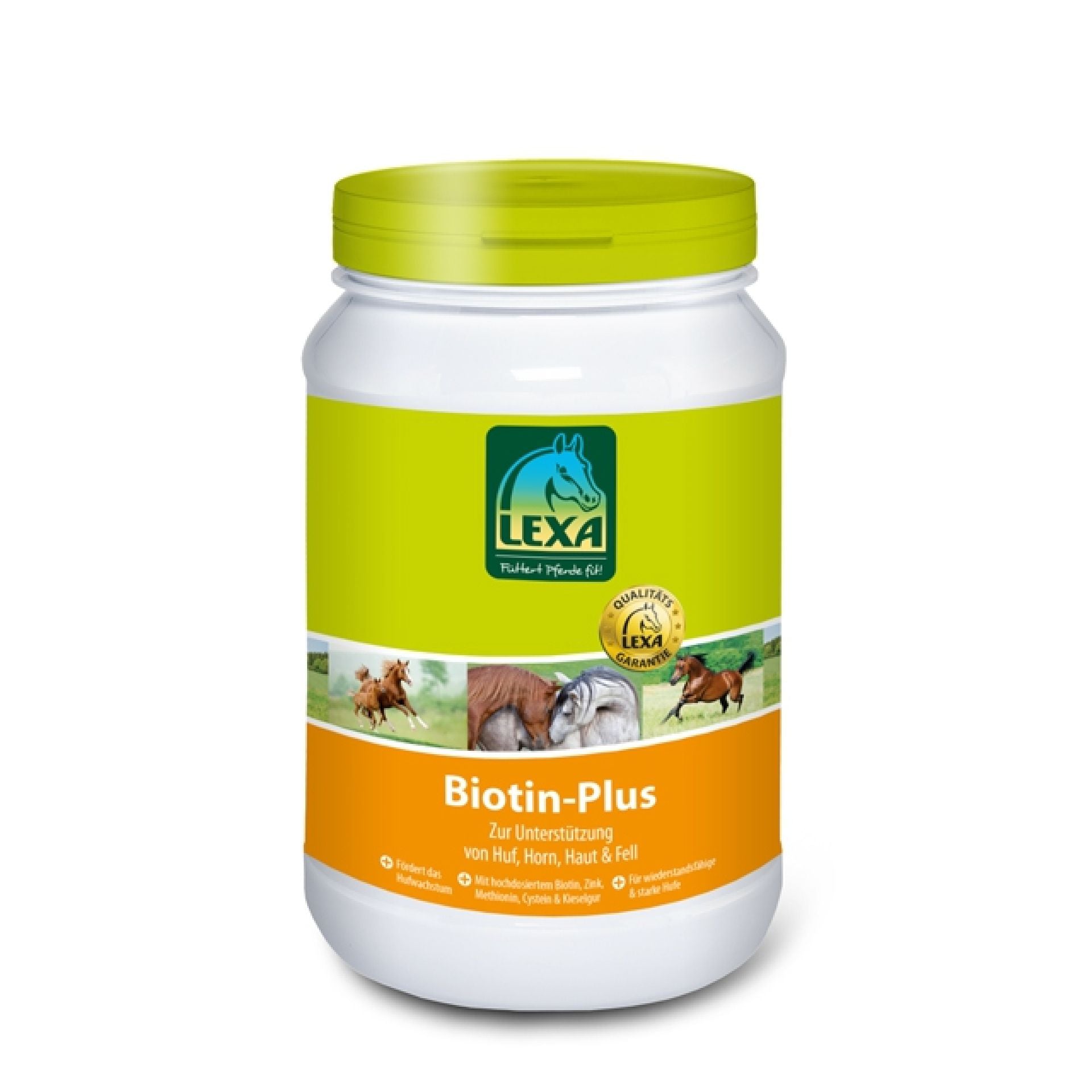 Biotin-Plus 1 kg