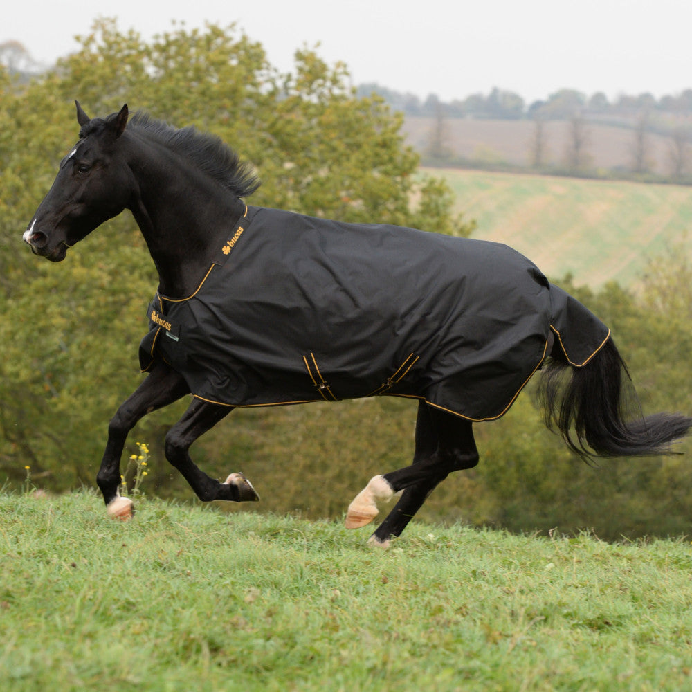 Outdoordecke Irish Turnout 50 g