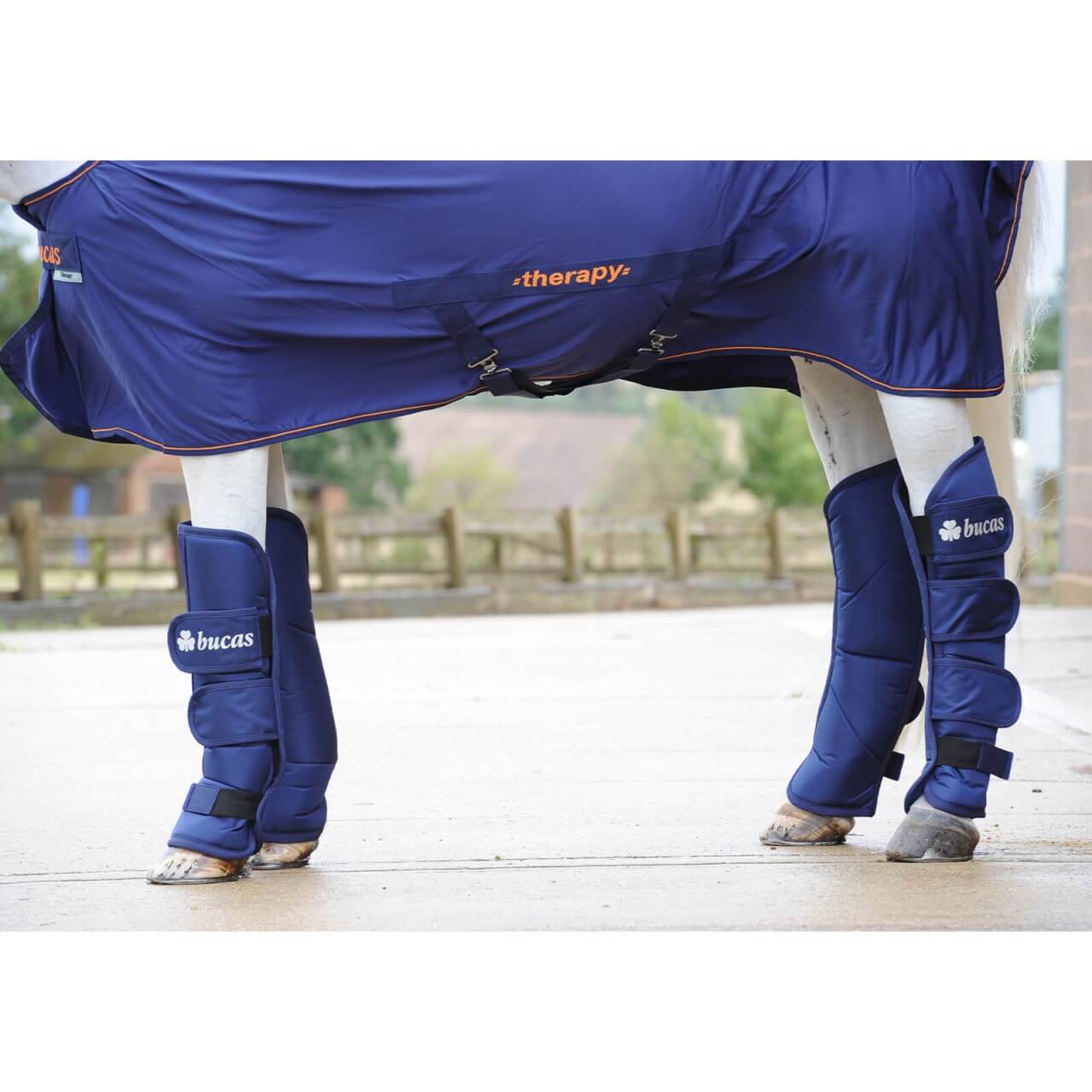Transportgamaschen Boots 2020