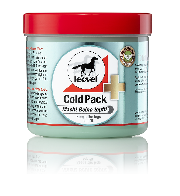 Cold Pack 500 ml