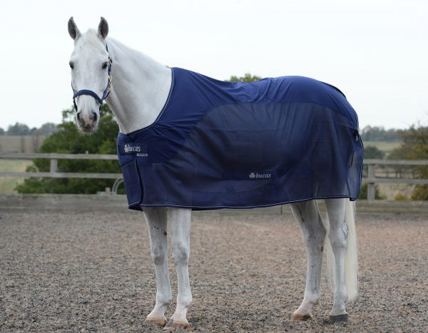 Abschwitzdecke Competition Cooler
