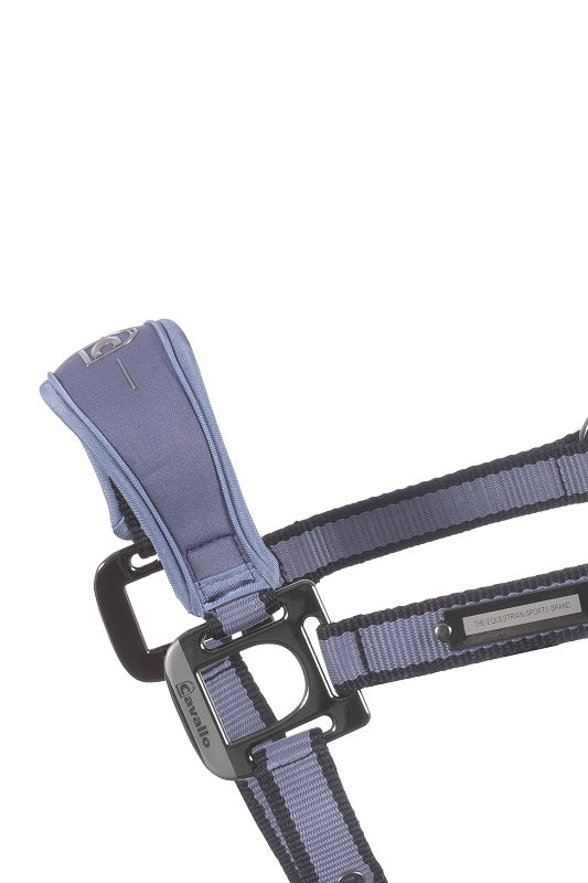 Halfter Cavalsoftshell mit Neoprenpolster F/S 24