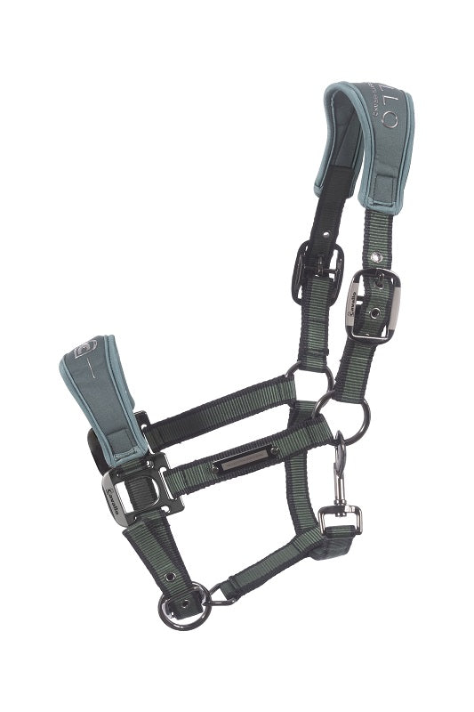 Halfter Cavalsoftshell mit Neoprenpolster F/S 24