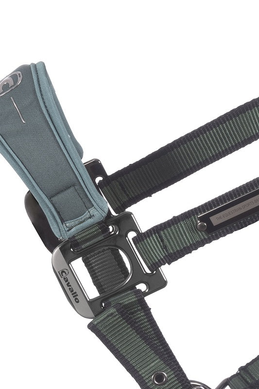 Halfter Cavalsoftshell mit Neoprenpolster F/S 24