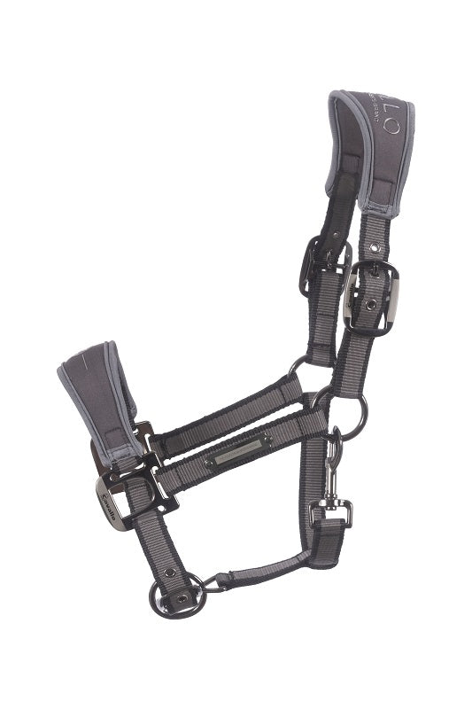Halfter Cavalsoftshell mit Neoprenpolster F/S 24