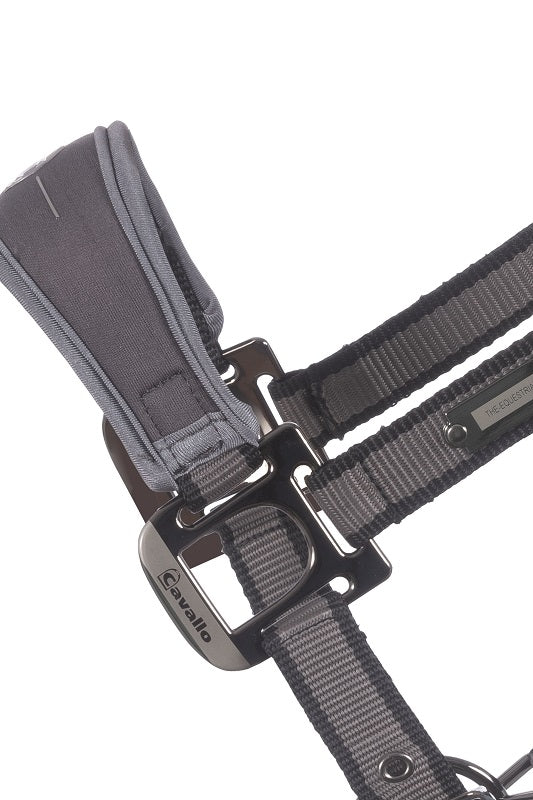 Halfter Cavalsoftshell mit Neoprenpolster F/S 24