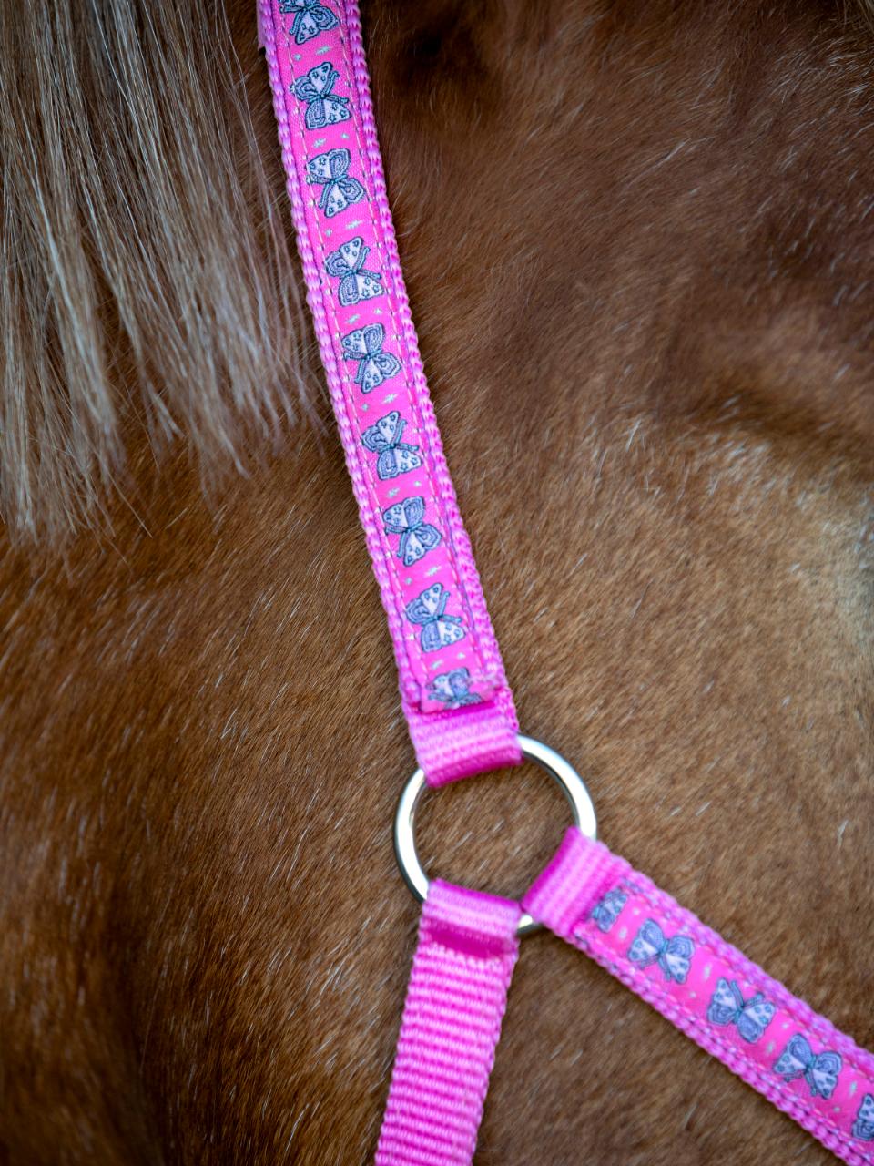 Halfter Butterfly F/S 25