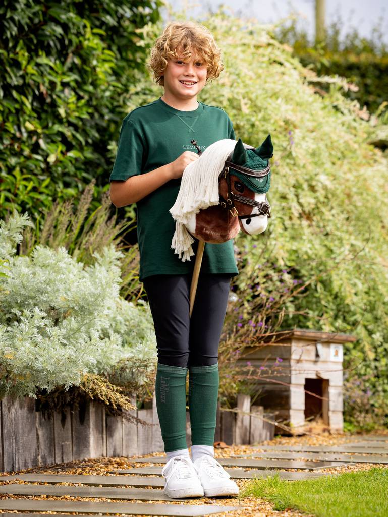 Hobby Horse