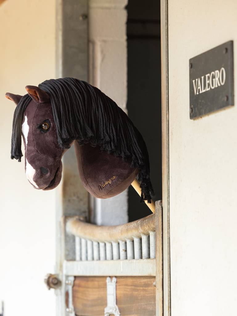Hobby Horse