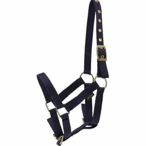 Fohlenhalfter aus Nylon navy