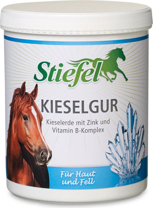 Kieselgur 1 kg