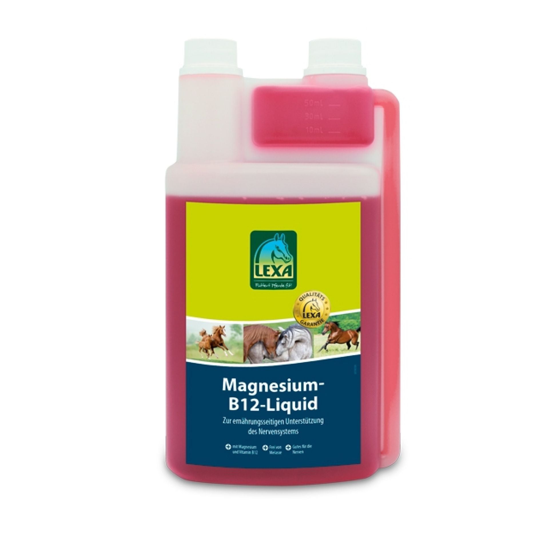 Magnesium-B12-Liquid 1 l
