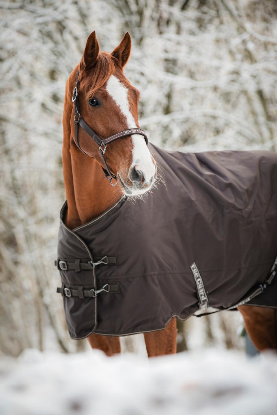 Outdoordecke Landon 200 g H/W 24