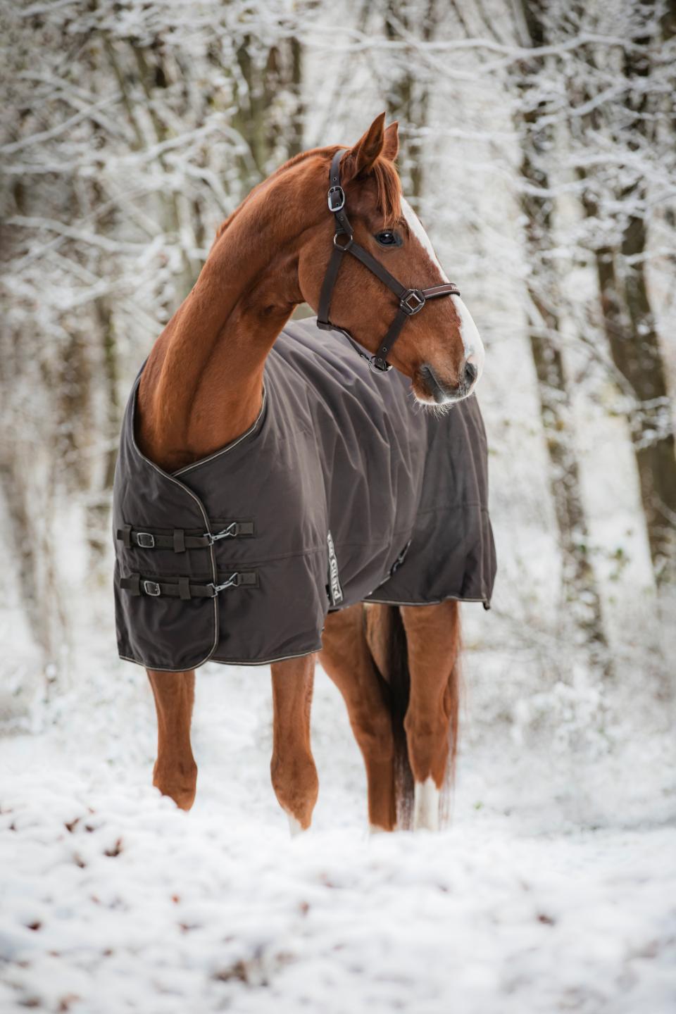 Outdoordecke Landon 200 g H/W 24