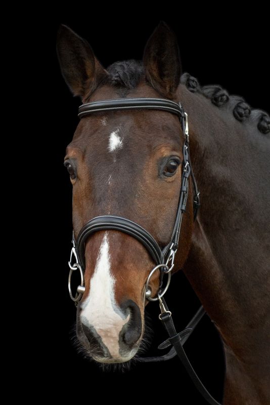 Trense Dortmund