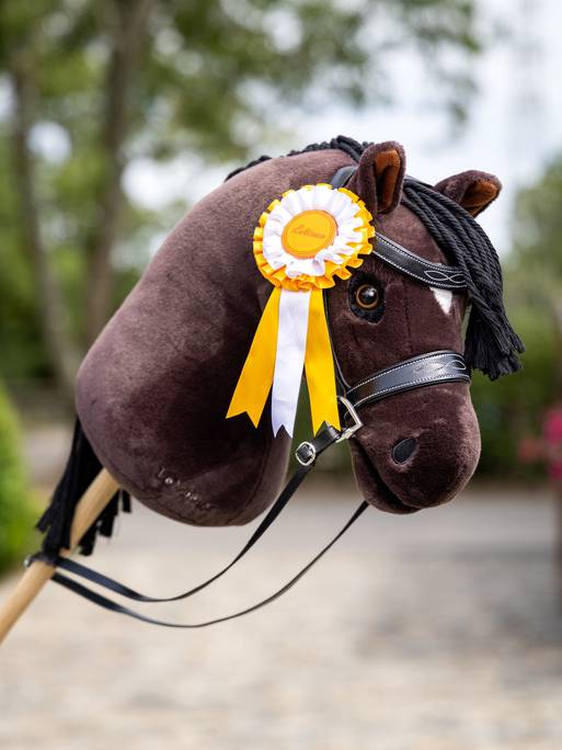 Hobby Horse Turnierschleifen